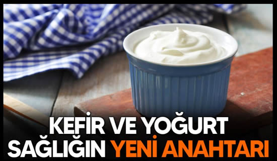 Kefir ve yoğurt sağlığın yeni anahtarı..