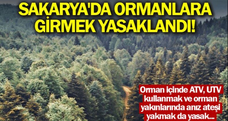 Sakarya’da Ormanlara Girmek Yasaklandı!