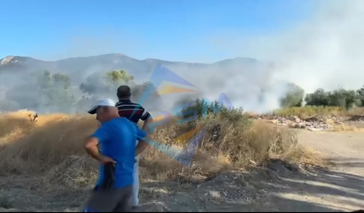 Pamukova Fevziye Mahallesinde Otluk Alanda Yangın…