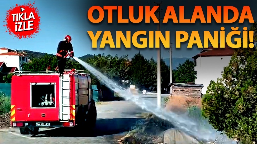Pamukova’da Otluk Alanda Yangın Paniği..