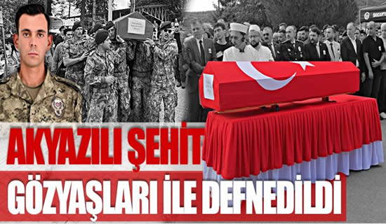 asdsa