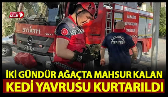 Pamukova’da İki gündür ağaçta mahsur kalan kedi yavrusunu itfaiye ekipleri kurtardı..