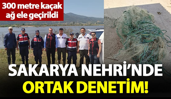 ortaklaşa denetim