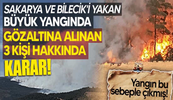 Taraklı’da çıkan büyük yangında gözaltına alınan 3 kişi hakkında karar! Yangın bu sebeple çıkmış!