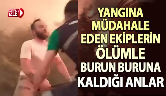 belediye