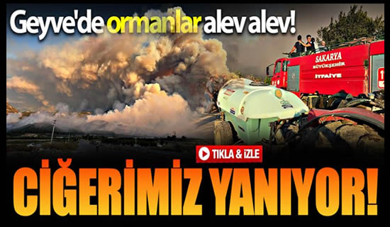 geyve yangın