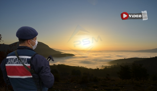 Pamukova Jandarması Alarm Durumunda! Orman Yangınlarına Karşı Teyakkuza Geçti…