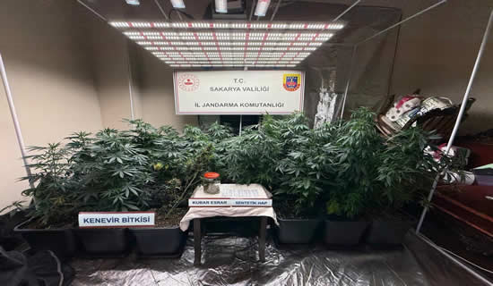 Pamukova Jandarmasından Uyuşturucu Operasyonu…