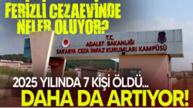 ddssd