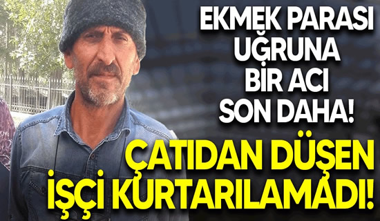 dffddf