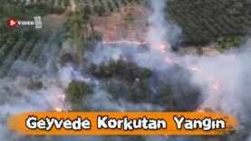 Geyve’de Çıkan Yangın Büyük Paniğe Neden Oldu!