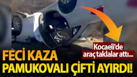 sdasd