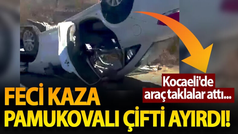 sdasd