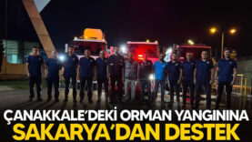 sdsda
