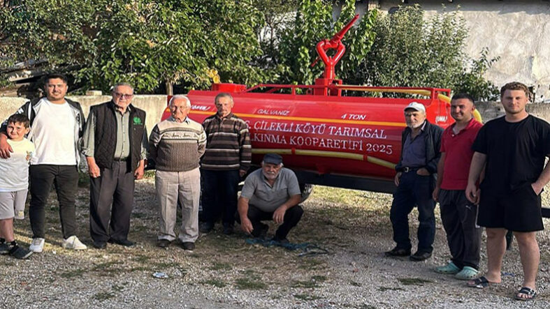 çilekli ss