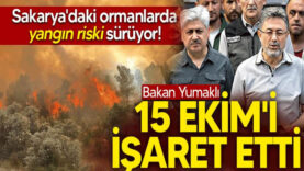 yangın