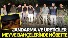 Pamukova’da Jandarma ve Üreticiler Meyve Bahçelerinde Nöbette…