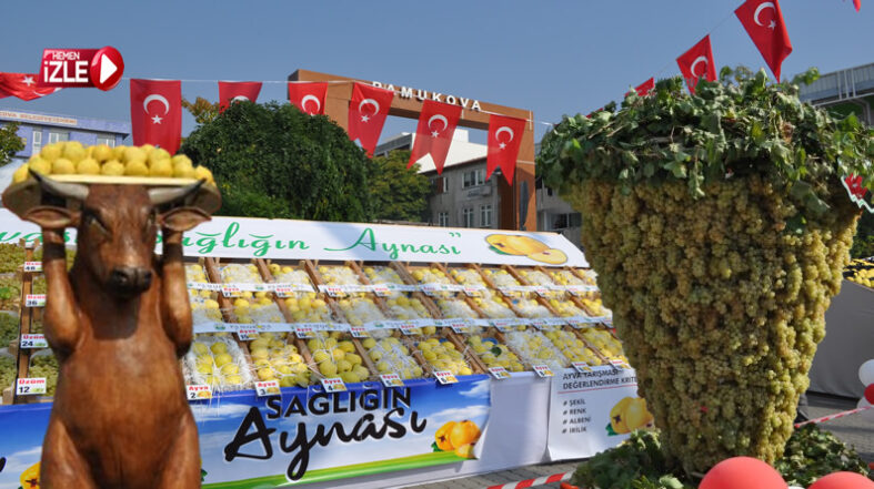 pamukova aayva festivali