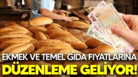 Ekmek ve temel gıda fiyatlarına düzenleme geliyor!