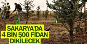 Milli Ağaçlandırma Günü’nde Sakarya’da 4 bin 500 fidan dikilecek…