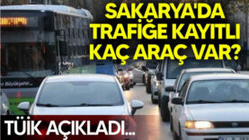 Sakarya’da bir ayda trafiğe 2 bin 826 araç çıktı, kayıtlı araç sayısı 427 bini aştı..