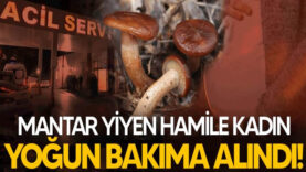 Hendek’te mantar yiyen hamile kadın yoğun bakıma alındı!