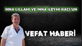 adnna çohal