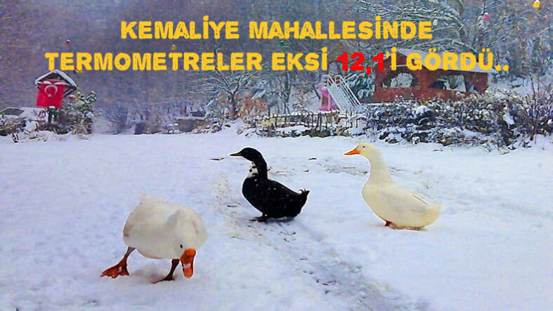 Pamukova’da Ayaz Geceyi Esir Aldı! En Düşük Sıcaklık -12,1 Derece Ölçüldü..
