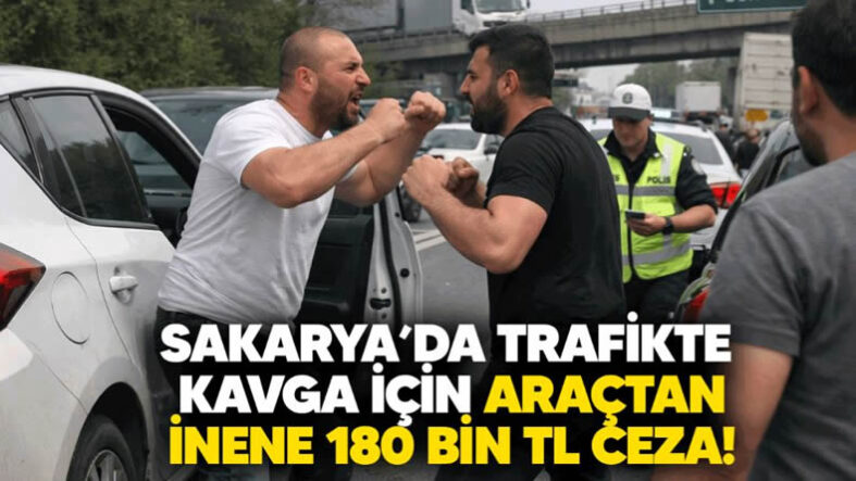 kavga trafik