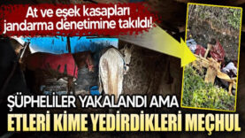 sakarya at