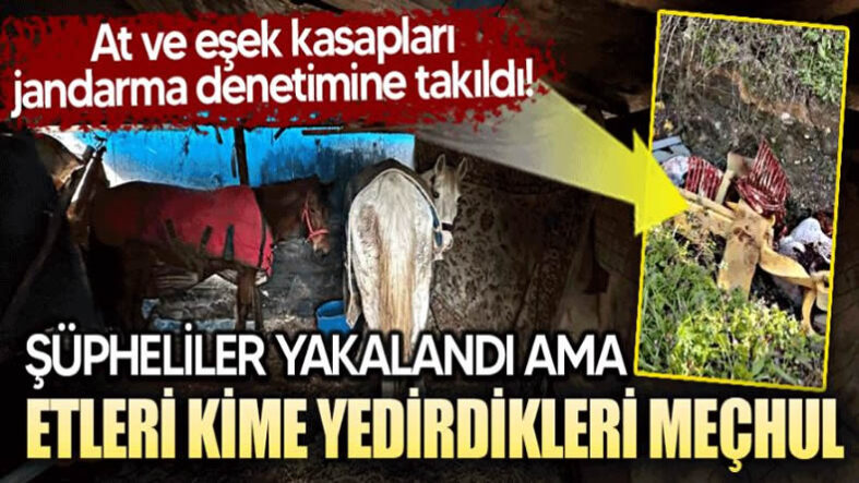 sakarya at