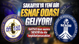 sdsdsd