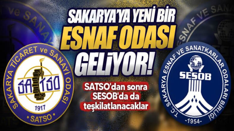 sdsdsd