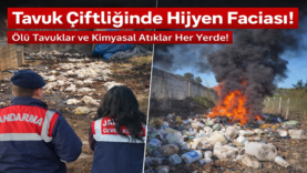 taraklı jandarma.fw