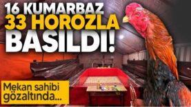 Ekran Alıntısı