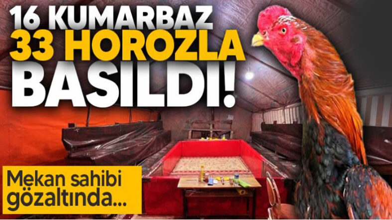 Ekran Alıntısı