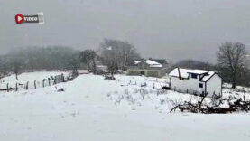 WhatsApp Video 2026-03-20 at 16.05.38