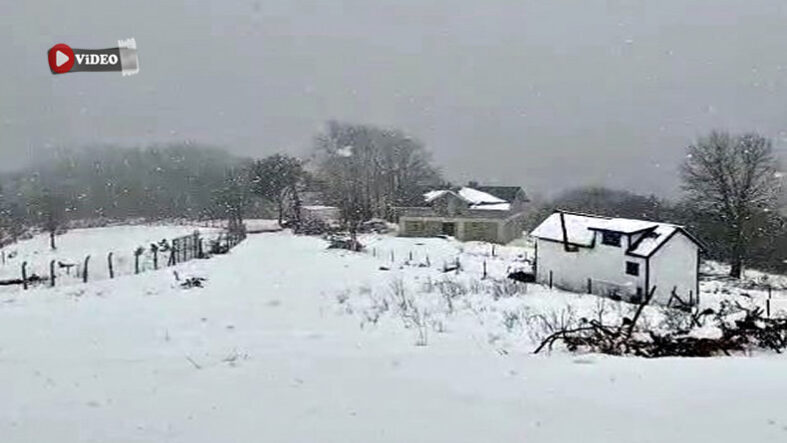 WhatsApp Video 2026-03-20 at 16.05.38