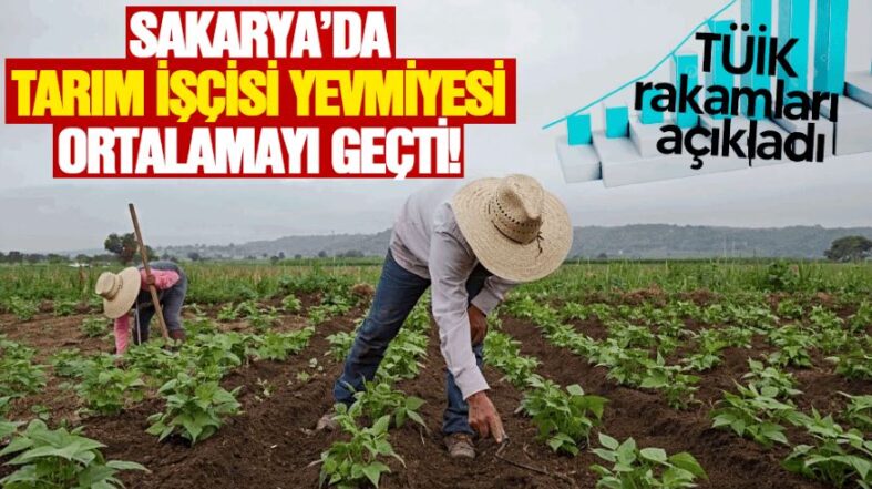 çiftcı