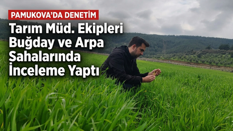 Pamukova’da Bereket İçin Kritik Kontrol: Hastalık Ve Zararlılar Yakından İzleniyor..