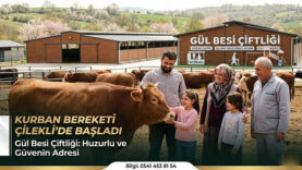 gül basi çiftliği