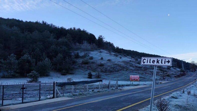 Pamukova’da Zirai Don Etkisini Gösterdi; Üretici Tedirgin…