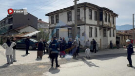 çınar dıbı