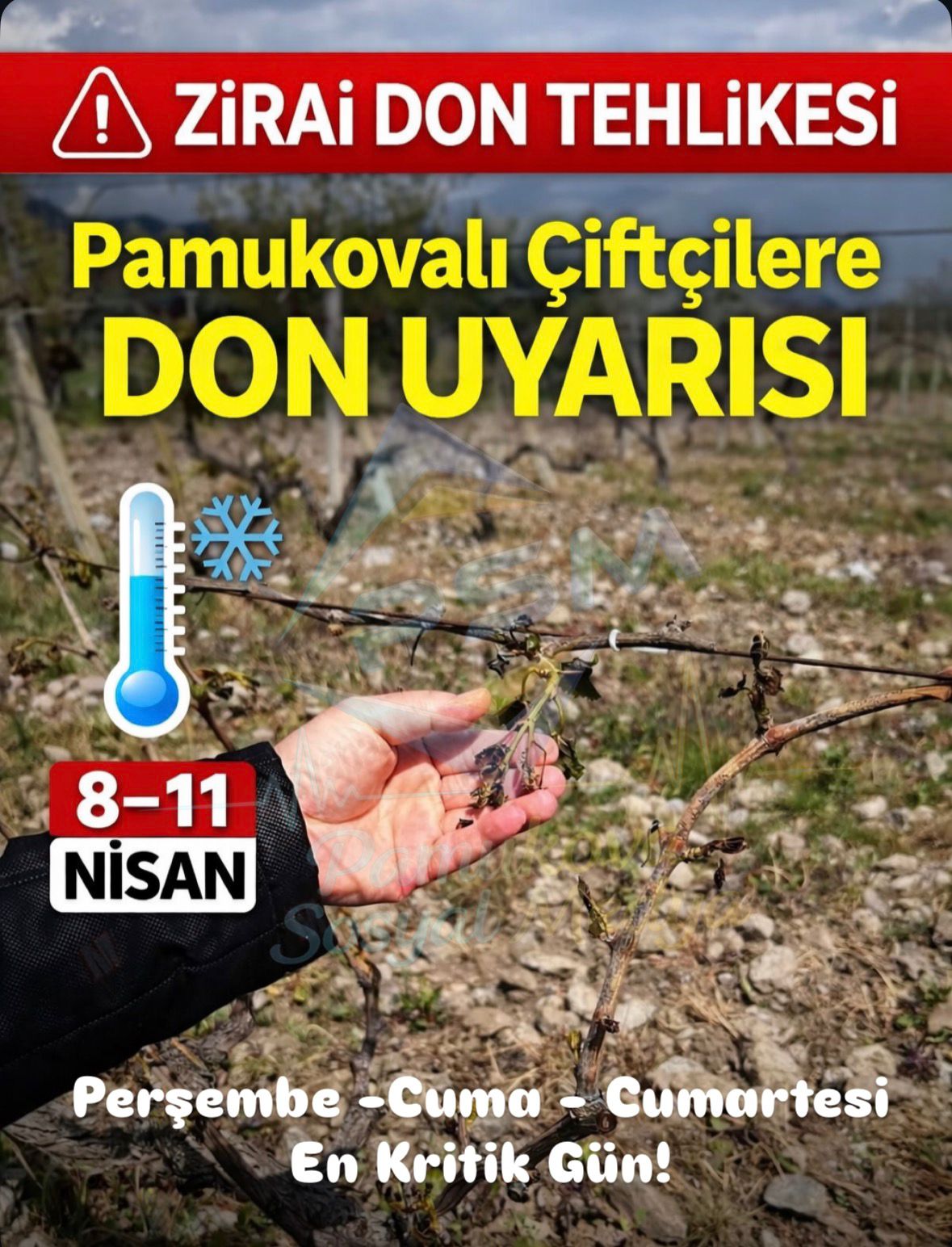 Önemli! Pamukovalı Çiftçilere Don Uyarısı…