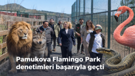 flamıngo park.fw