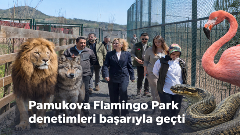Pamukova Flamingo Park; Sakarya DKMP Tarafından Yapılan  Denetimlerden Tam Not Aldı…