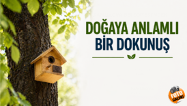 kus evleri.fw