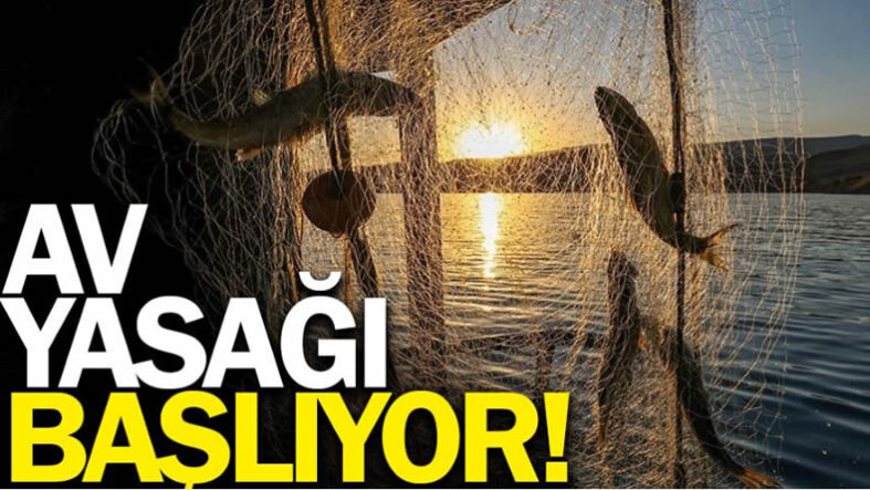plşos
