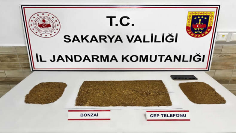 torbacı