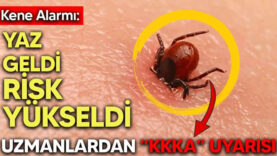 Ekran Alıntısı